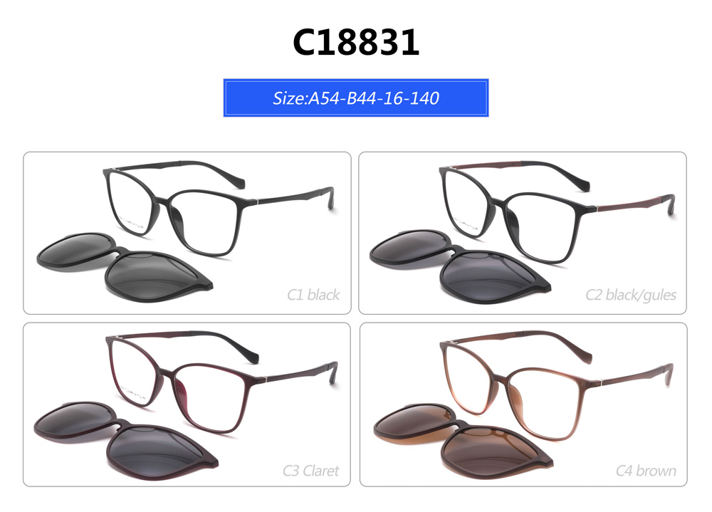 C18831  ultem polarized